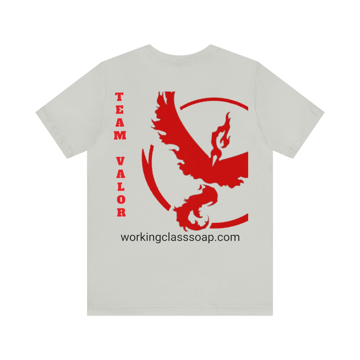 Logo/ Team Valor