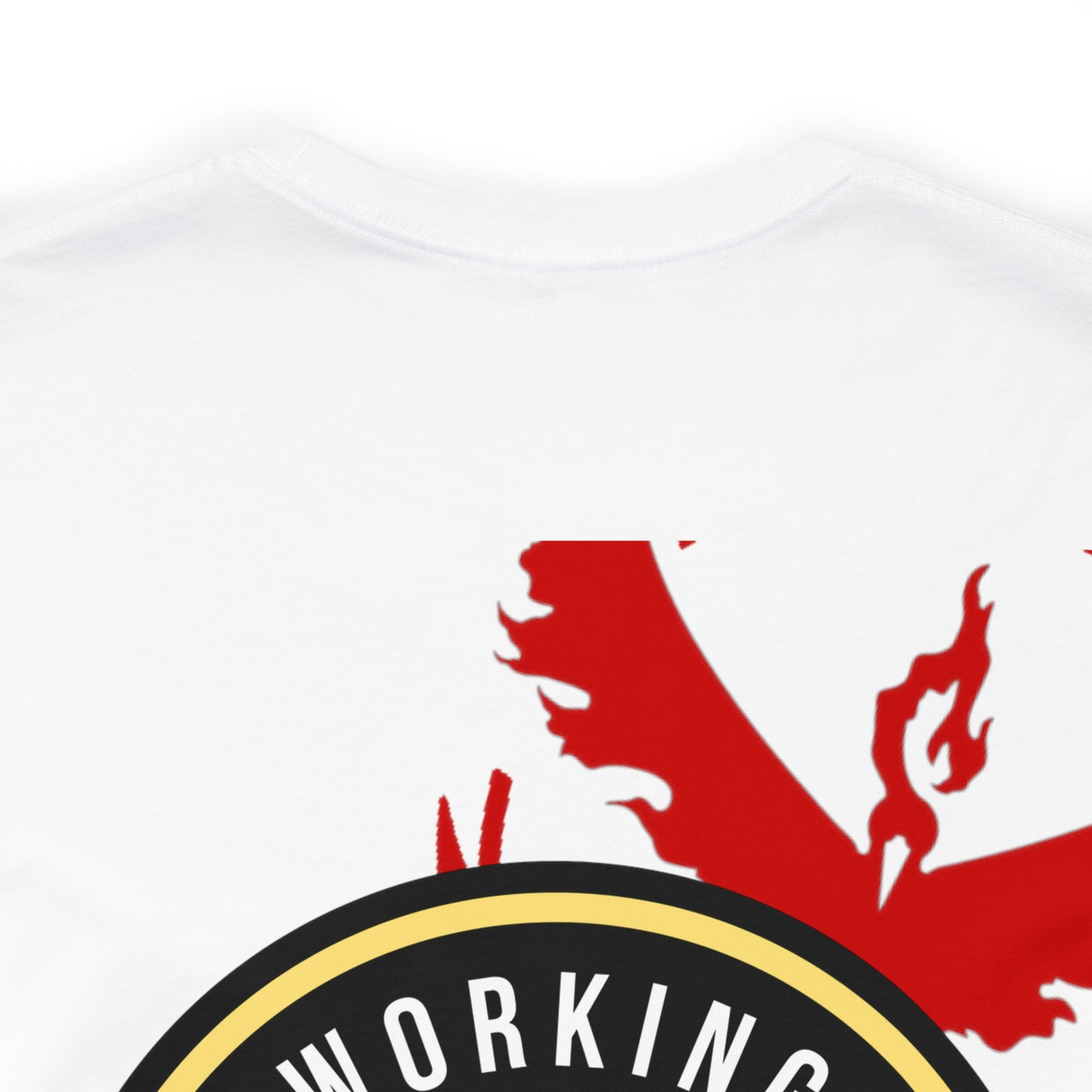 Logo/Team Valor