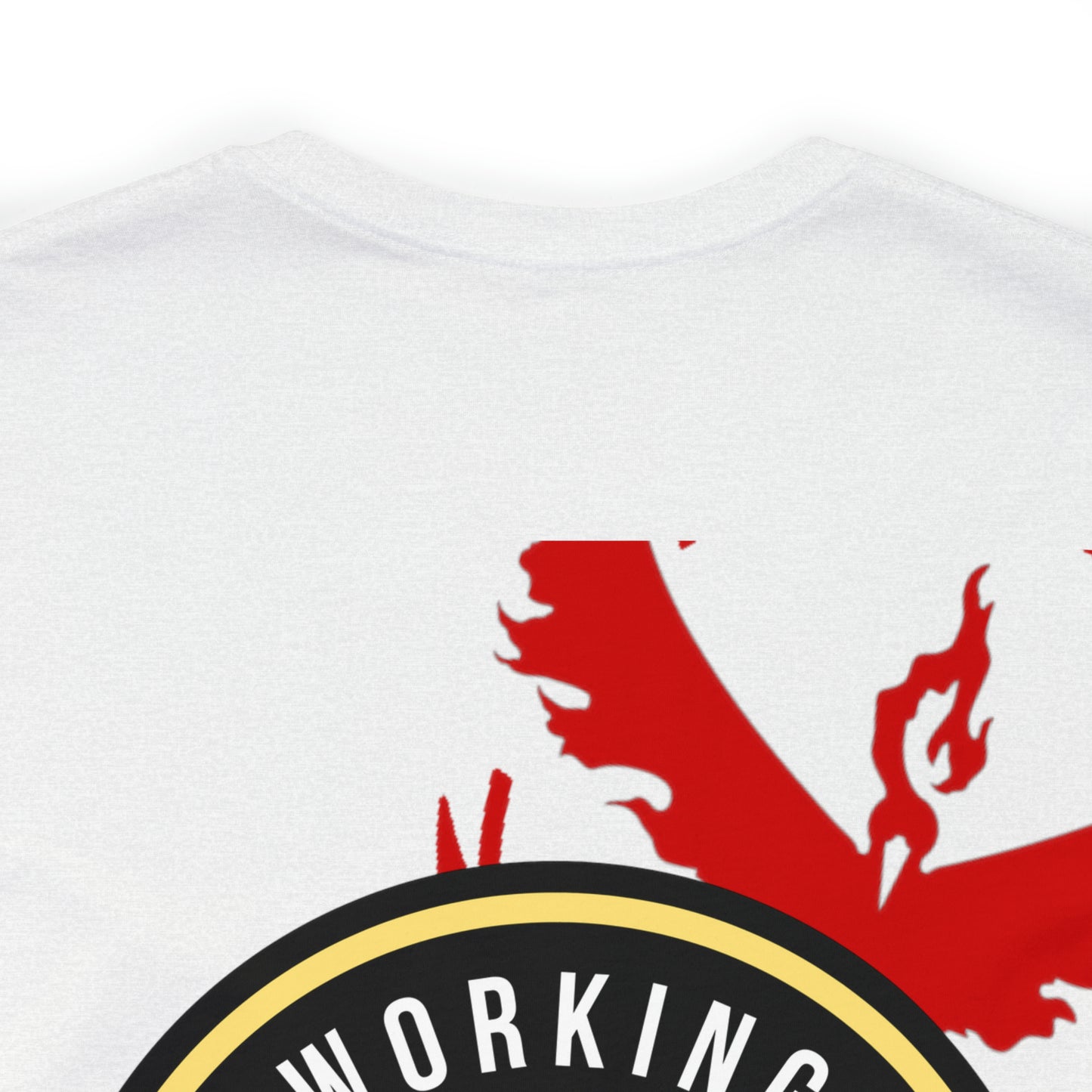Logo/Team Valor