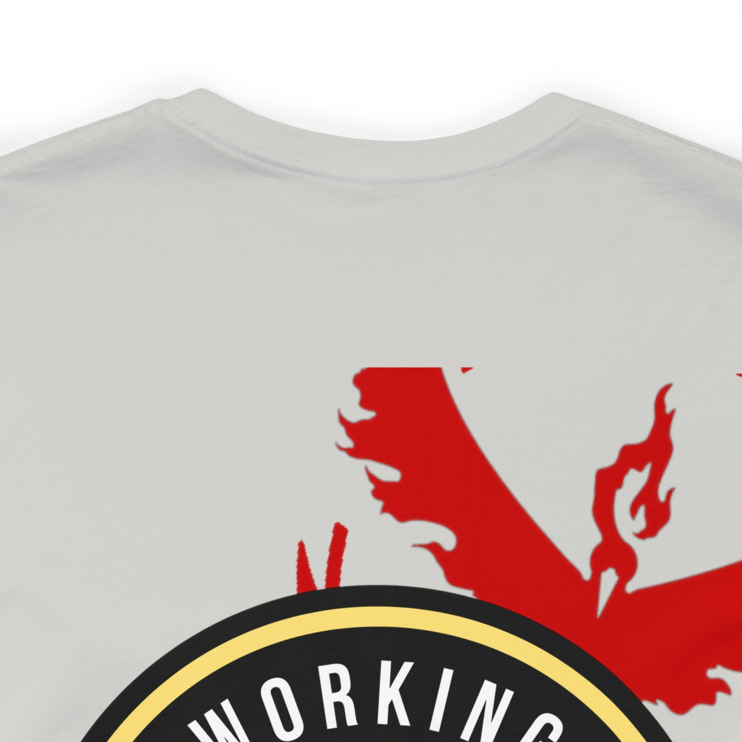Logo/Team Valor