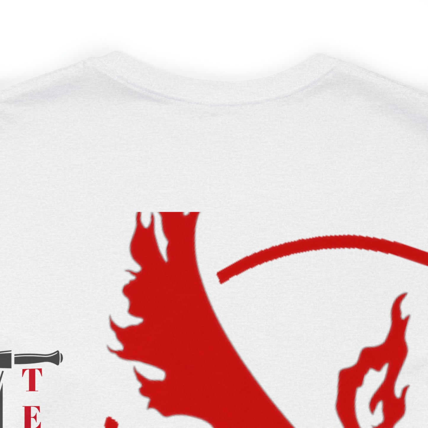 Logo/ Broad Sword Team Valor
