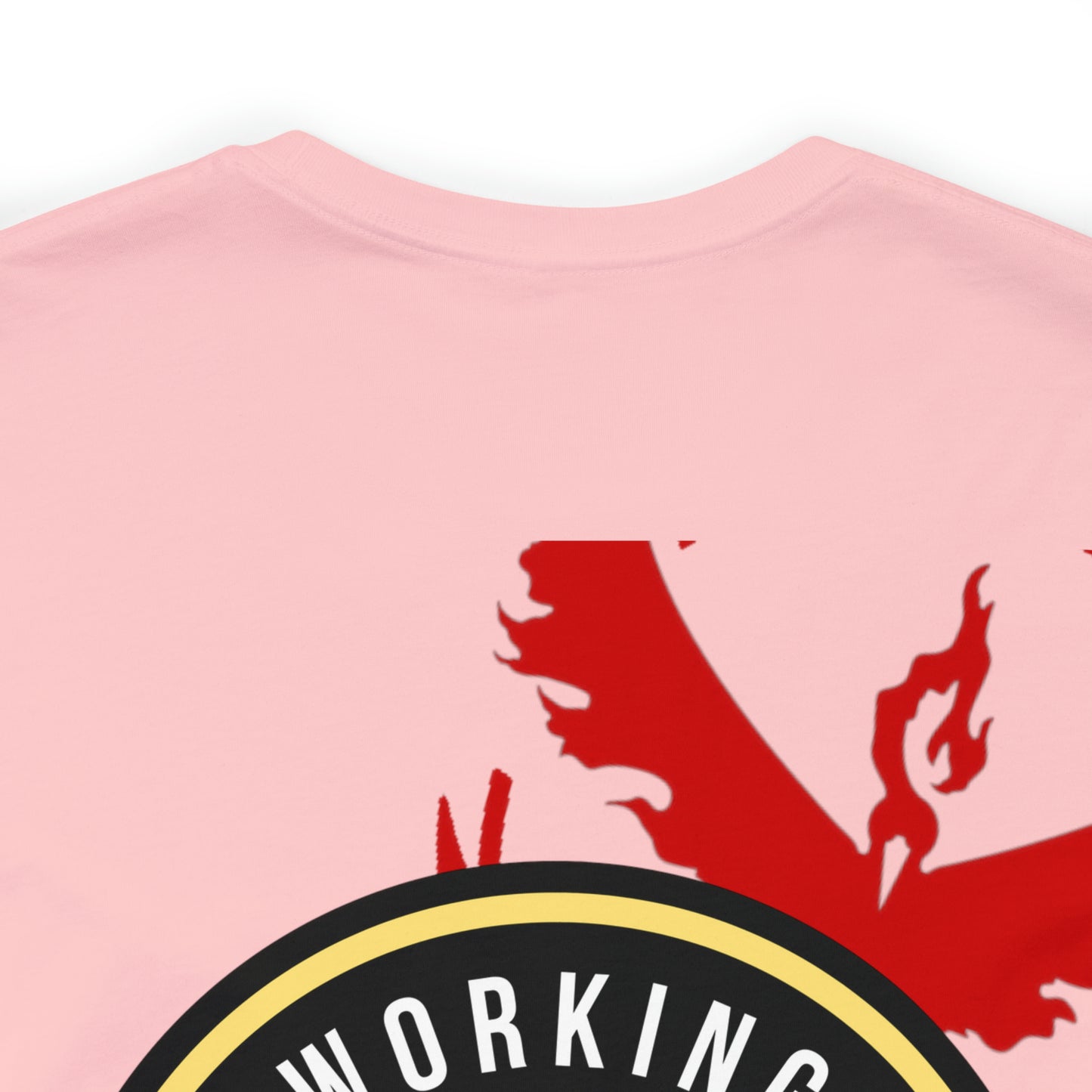 Logo/Team Valor