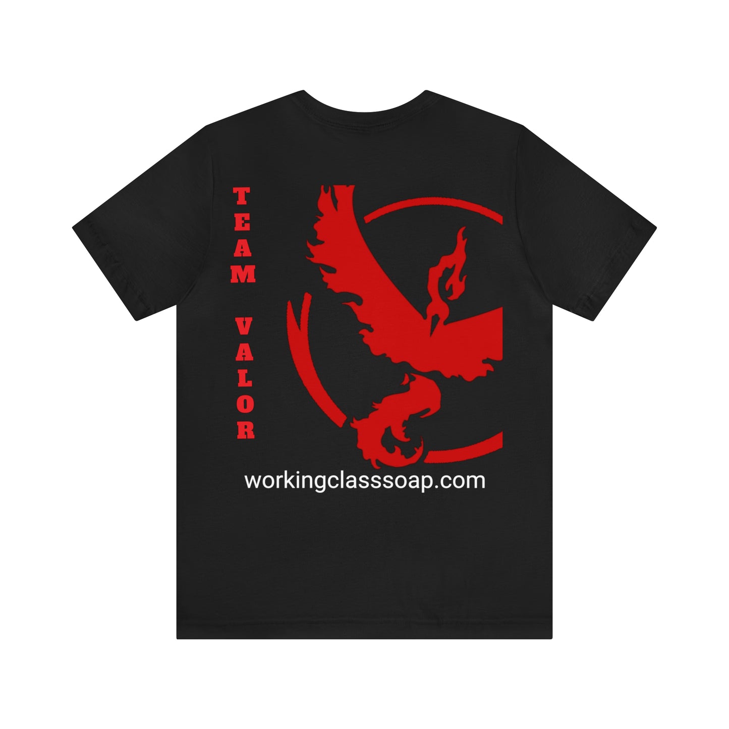 Logo/ Team Valor
