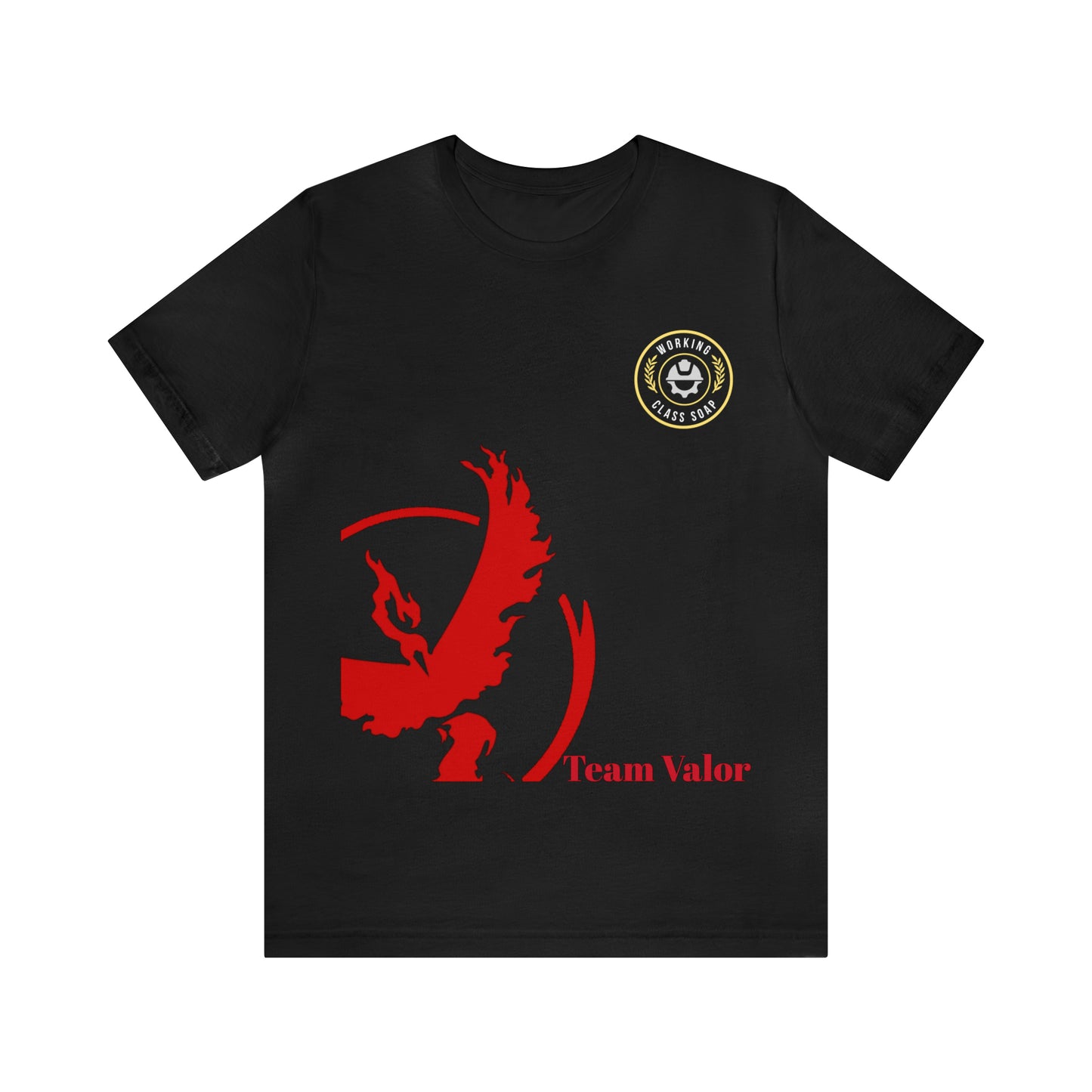 Logo/ Team Valor