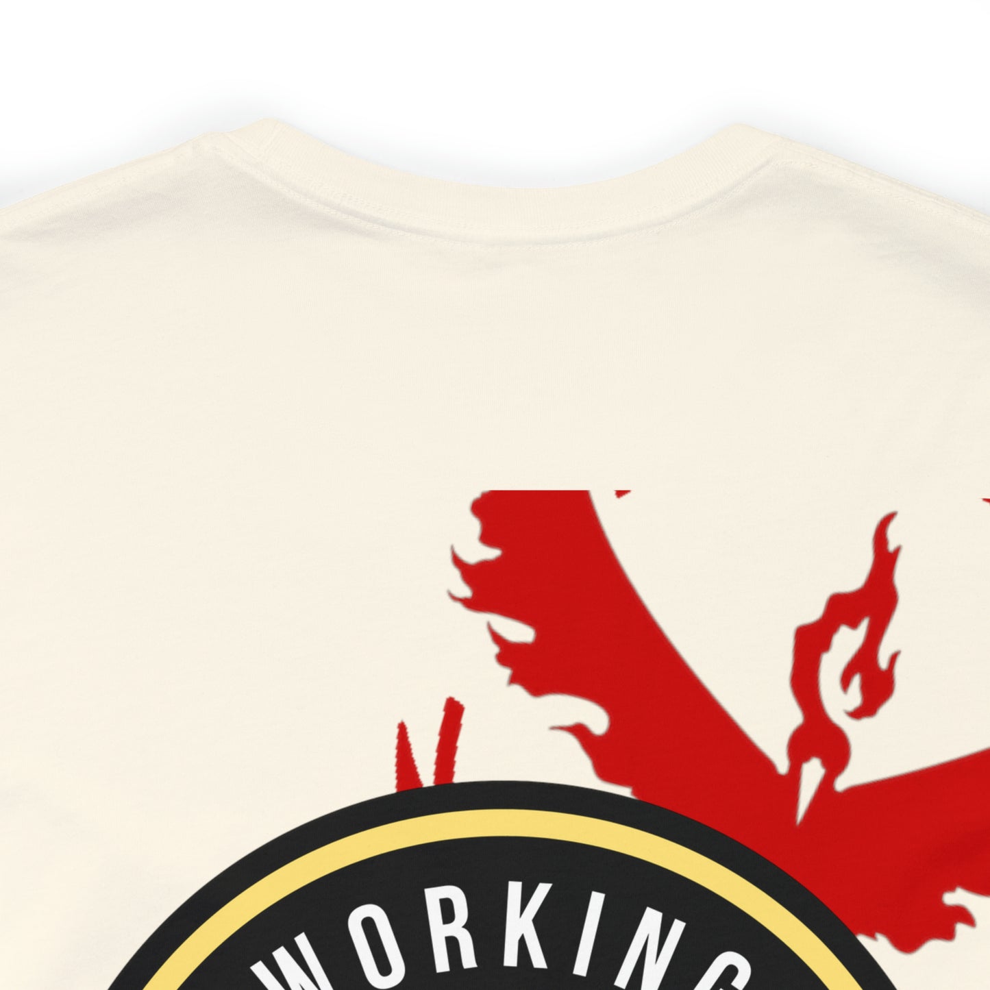 Logo/Team Valor