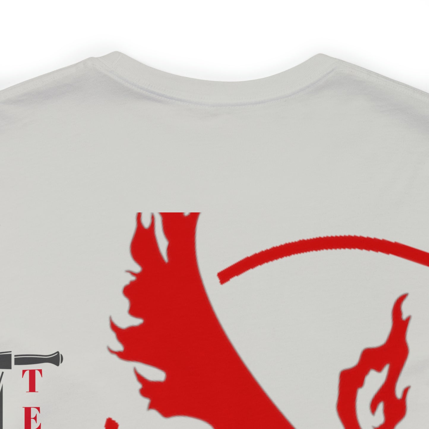 Logo/ Broad Sword Team Valor