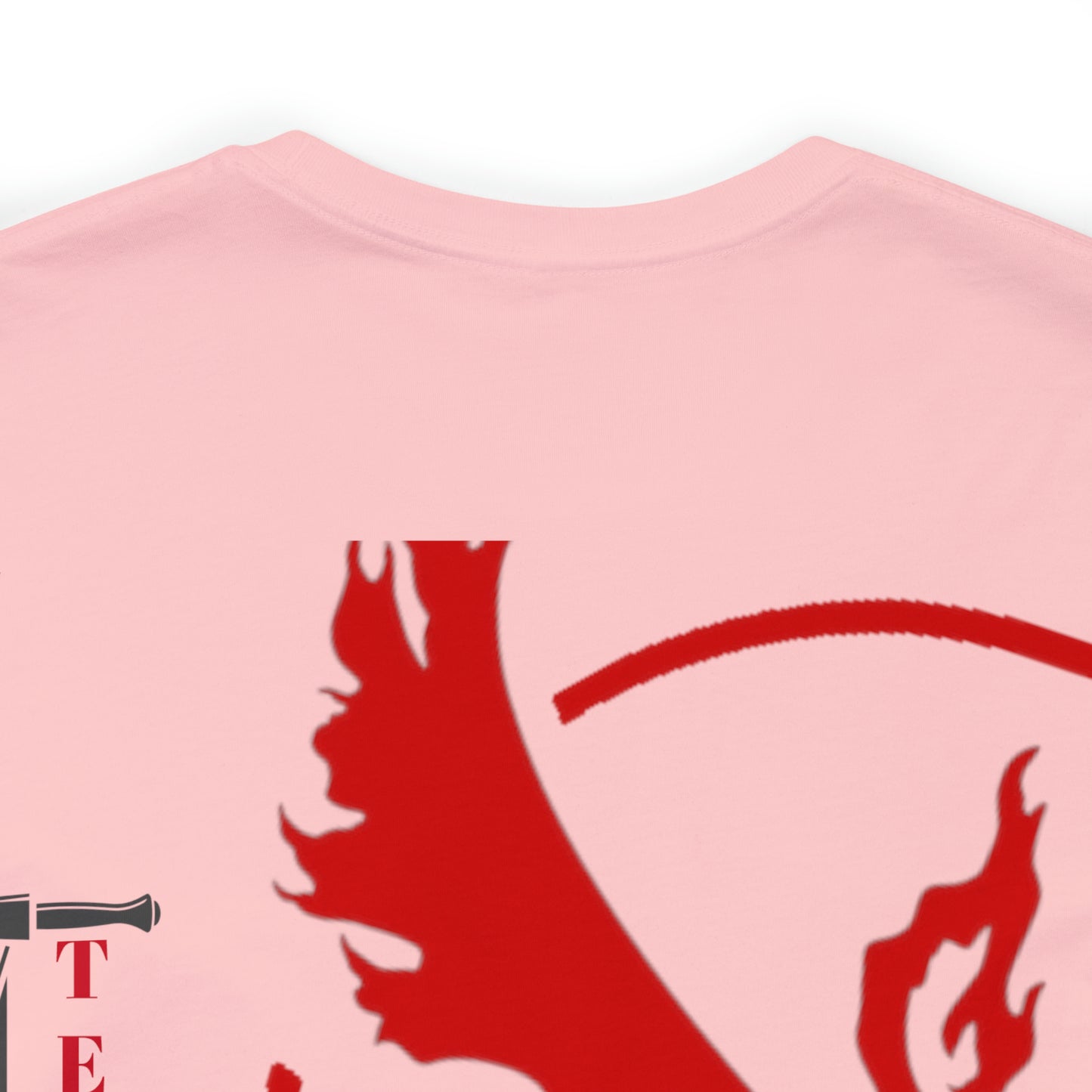 Logo/ Broad Sword Team Valor