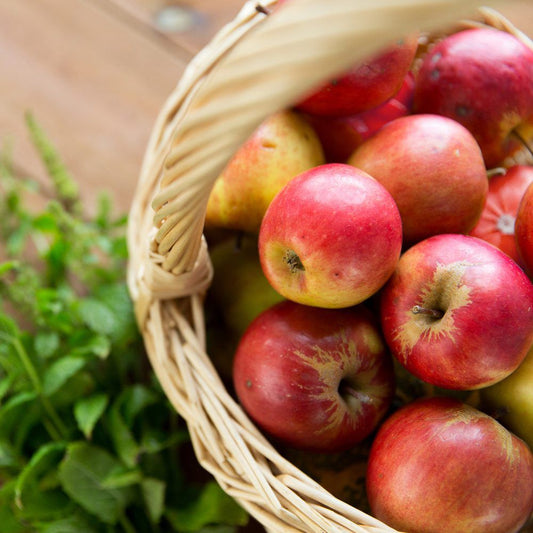 Apple Sage - Hand Poured Exfoliating Honey Soap