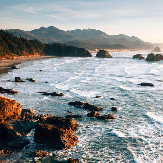 Ocean Shores - Hand Poured Exfoliating Honey Soap