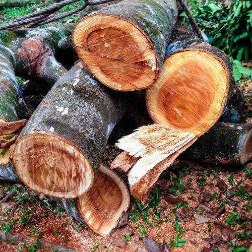 Mahogany - Hand Poured Exfoliating Honey Soap