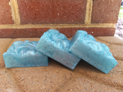 After the Rain - Hand Poured Exfoliating Olive Oil / Hemp Seed Oil Soap