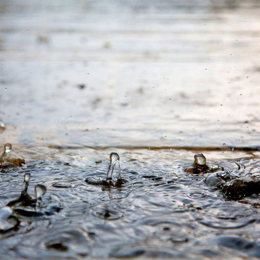 After the Rain - Hand Poured Exfoliating Olive Oil / Hemp Seed Oil Soap