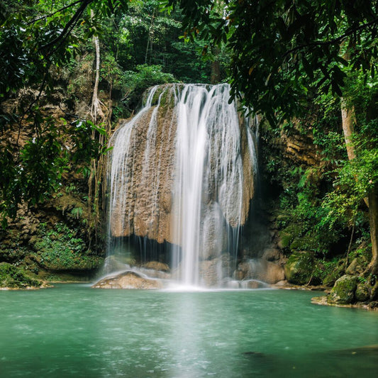 Jungle Waterfall - Hand Poured Exfoliating Olive Oil / Natural Hemp Seed Oil Soap
