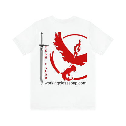 Logo/ Broad Sword Team Valor