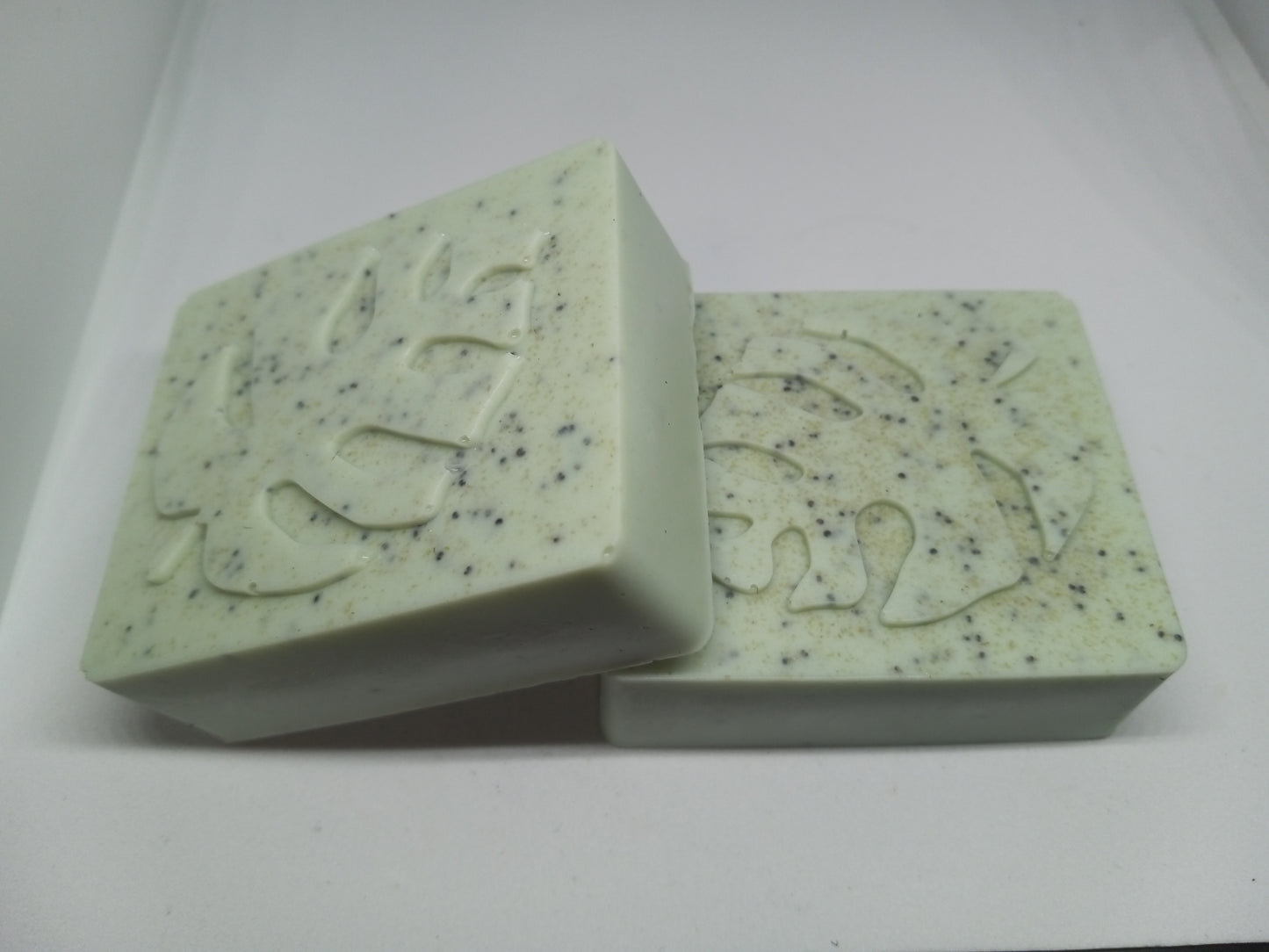 Sea Moss - Hand Poured Exfoliating Oatmeal Soap