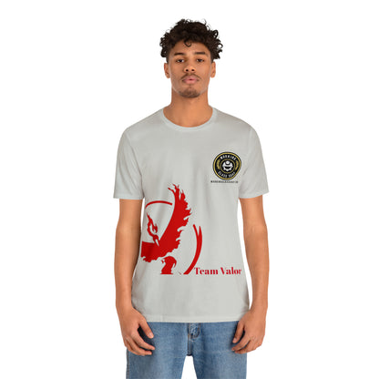 Logo/Team Valor