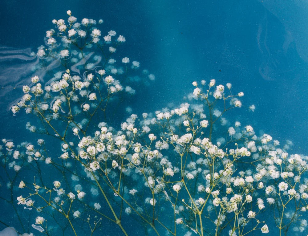 Baby's Breath - Hand Poured Goat's Milk Soap